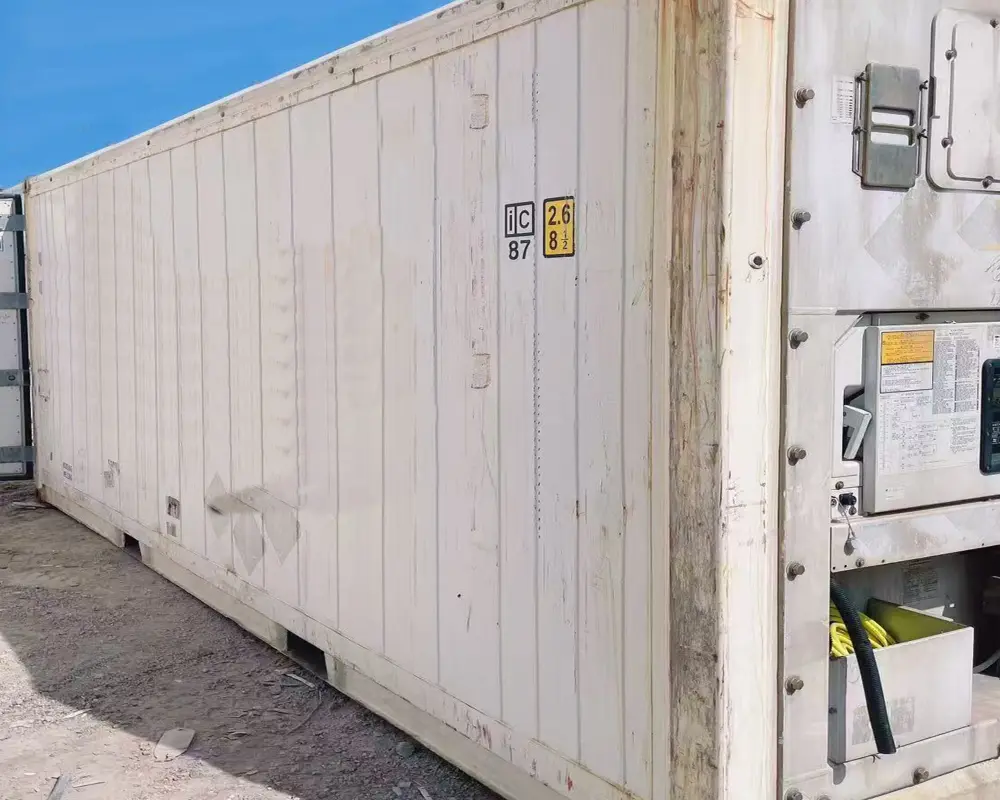 Used Reefer Shipping Container for Vegetable Fruit and Seafood Export - 图片 6